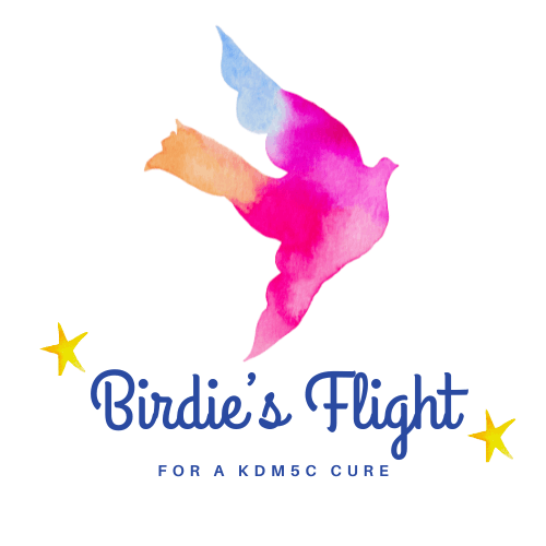 Rare Village Foundation logo