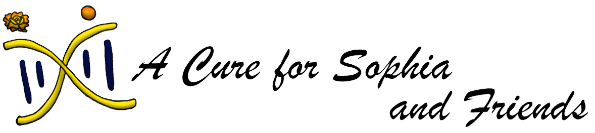 Rare Village Foundation logo