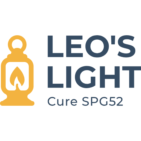 Rare Village Foundation logo