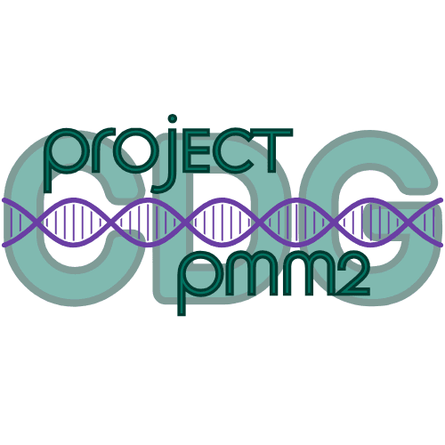 Rare Village Foundation logo