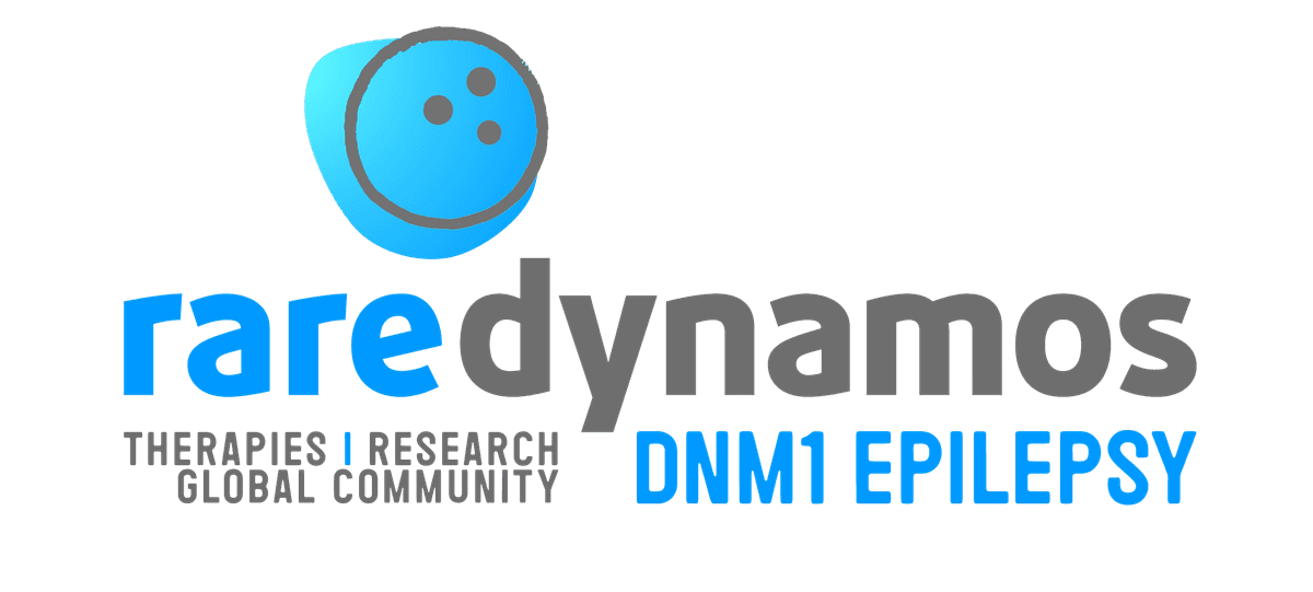 Rare Village Foundation logo